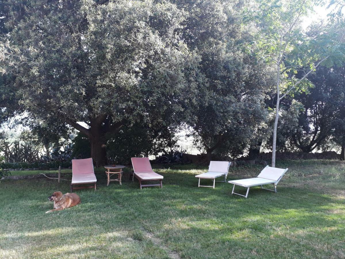Tenuta Argiano Мезанье Экстерьер фото